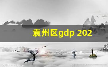 袁州区gdp 2020_宜春各县人均gdp